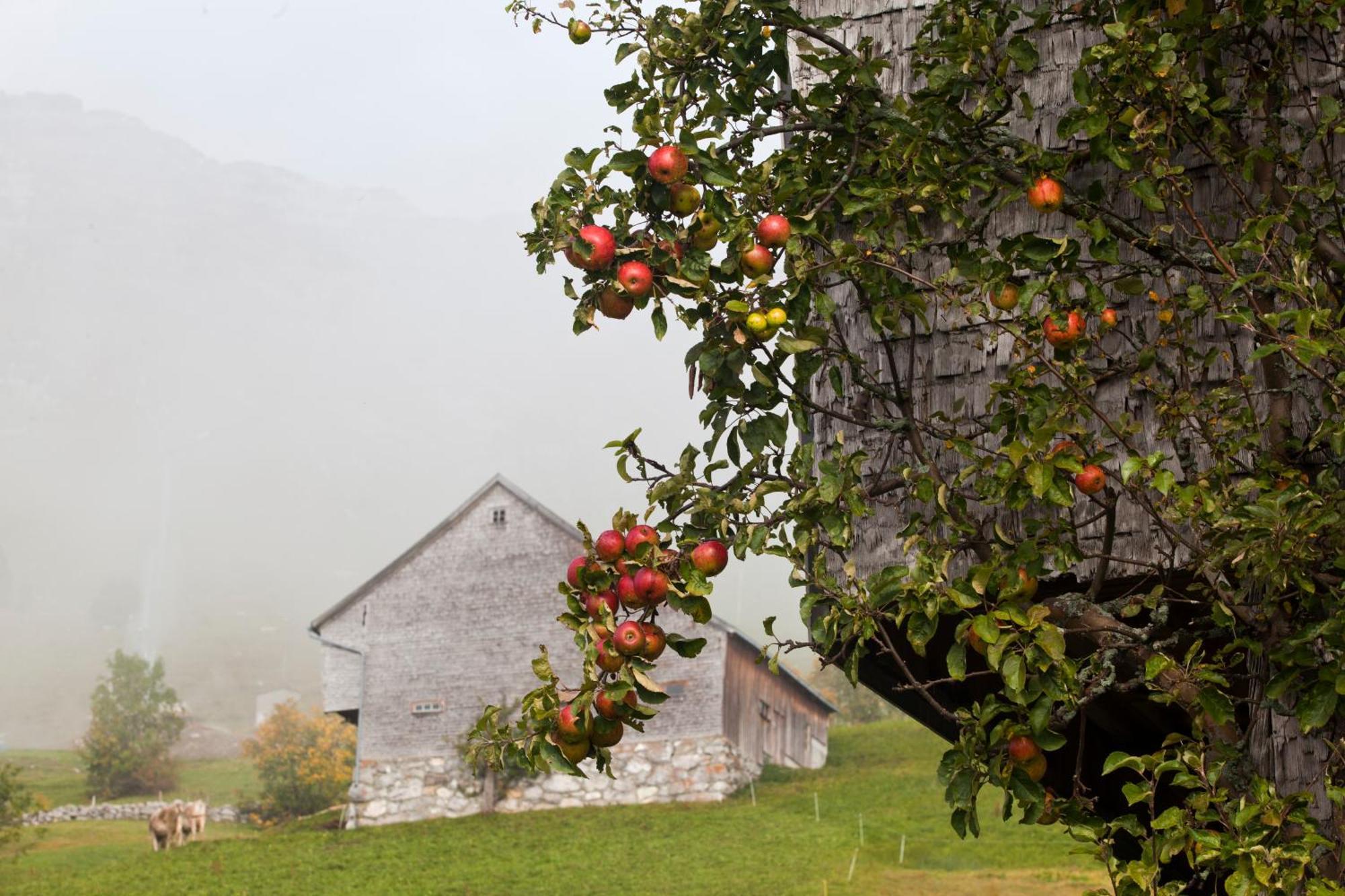 Hotel Arvenbüel Amden Buitenkant foto